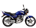 SUZUKI EN 125