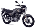 YAMAHA YBR 125